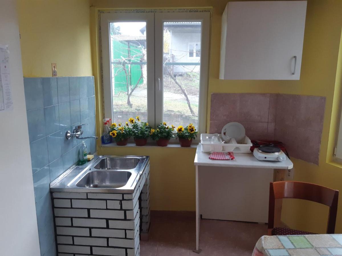 Apartman Novi Sad - Apartment Novi Sad Sremska Kamenica Luaran gambar